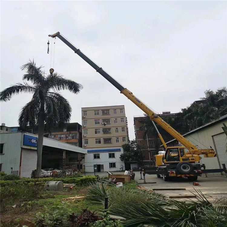 苍南县汽车吊出租多少钱？全面解析与市场行情